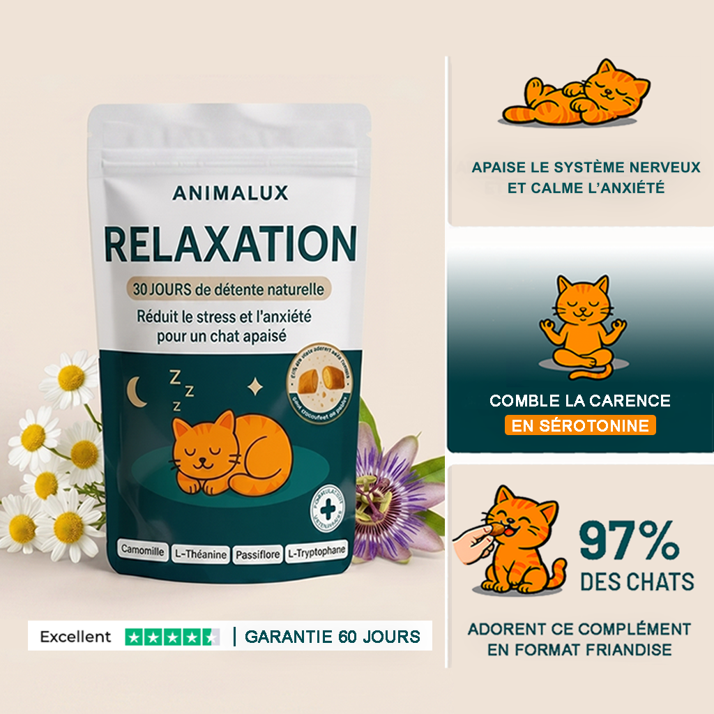 Complément Relaxation